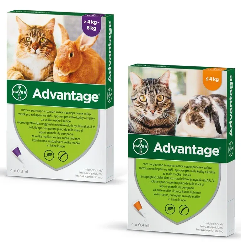 ADVANTAGE®(Elanco) Ampula SpotOn protiv buha za mačke i kuniće 1kom - Image 2