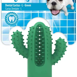 ALL FOR PAWS Dental Dog Chews Cactus Green L, 12x15x12,1cm