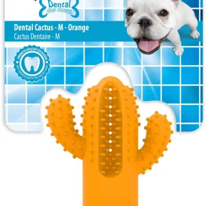 ALL FOR PAWS Dental Dog Chews Cactus Orange M, 9,4x12,3x9,5cm
