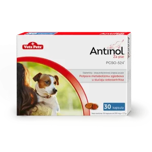 Antinol za pse – 30 kapsula