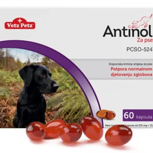 Antinol za pse – 60 kapsula