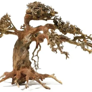AQUADECO Aqua Bonsai M, Bonsai drvo za akvarij, 23 - 30cm
