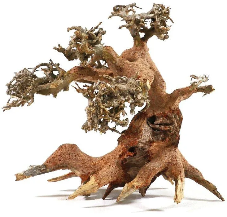 AQUADECO Aqua Bonsai S, Bonsai drvo za akvarij, 15-20cm