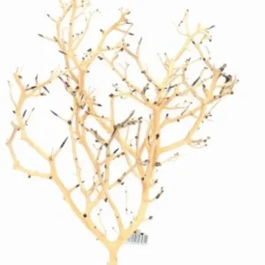 AQUADECO Coral-Tree M, drvo za akvarij, 20-30cm