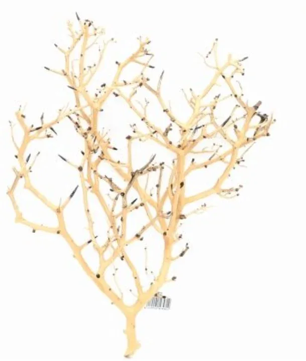 AQUADECO Coral-Tree M, drvo za akvarij, 20-30cm