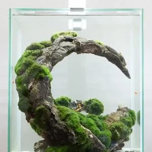 AQUAEL Akvarijski set Shrimp Smart Day&Night, bijeli