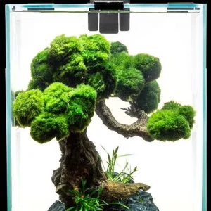 AQUAEL Akvarijski set Shrimp Smart Day&Night, crni