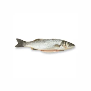 Brancin očišćeni 5kg(5kg)