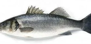 BRANCIN SVJEŽA cijela (3000+g) 6/1 CROMARIS