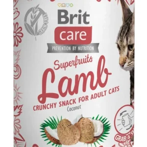 BRIT CARE Superfruits, janjetina, hrskava poslastica, bez žitarica, 100g