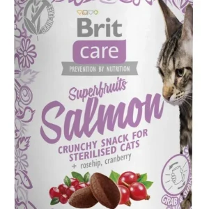 BRIT CARE Superfruits Salmon, hrskava poslastica, losos, bez žitarica, 100g