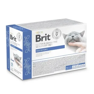 BRIT GF VD Cat Recovery, kod oporavka i smanjenog apetita, fileti u umaku 12x85g