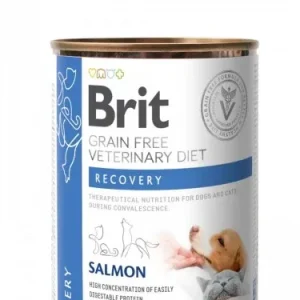 BRIT GF VD Dog + Cat Recovery, za oporavak, konzerva 400g