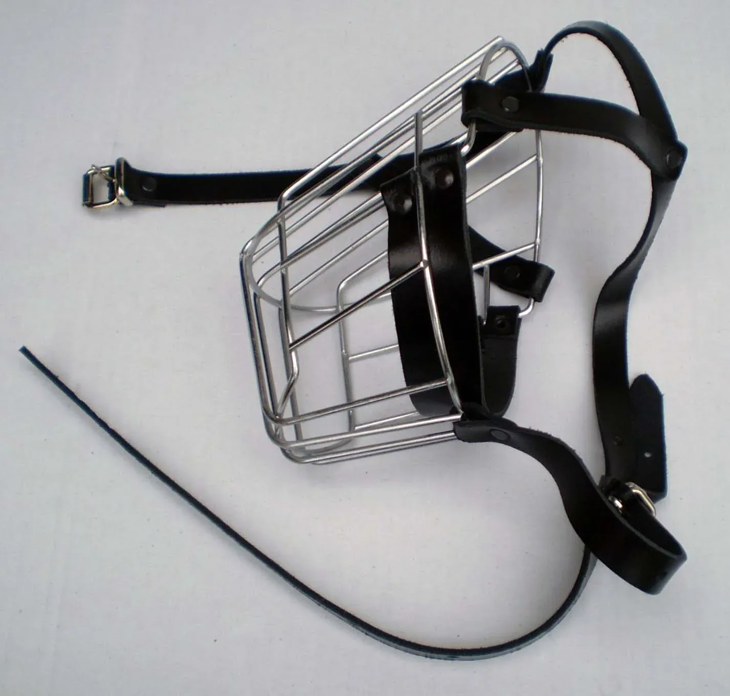 BRNJICA koža/žica Staford; opseg njuške 36cm, opseg vrata 70cm
