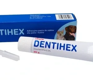 Dentihex pasta, 20g