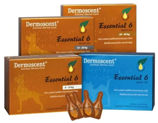 DERMOSCENT Essential 6 Spot on za pse, za regeneraciju oštećene kože - Image 2