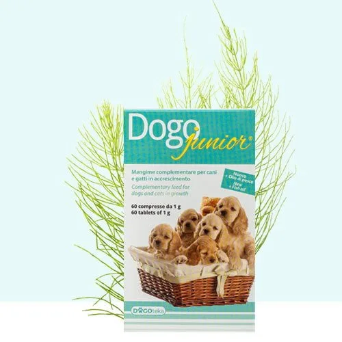 DOGOteka DOGOjunior 60 tbl