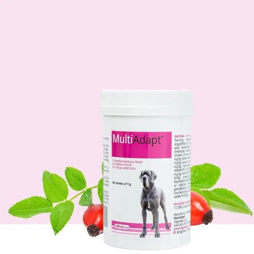 DOGOteka MultiAdapt 60 tbl