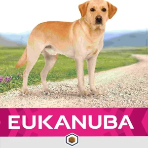 EUKANUBA Labrador Retriever, 12kg
