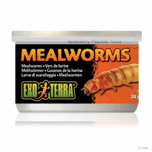 EXO TERRA Konzervirani brašnasti crvi,34g