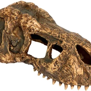 EXO TERRA Terarijski ukras Lubanja T-Rex