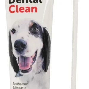 FLAMINGO Dental Clean Pasta za zube 85g + četkica
