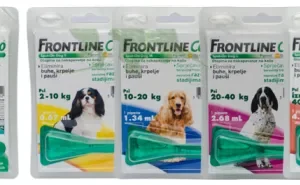 Frontline C