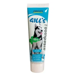Gills pasta za zube mint 100 g