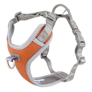 Hurtta Venture orma – no pull – Buckthorn