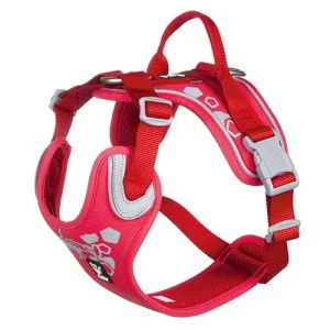 Hurtta weekend warrior orma – ruby