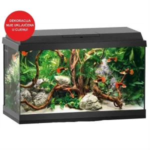 JUWEL Akvarij Primo 60 2,0 LED, 61x31x39cm, 57 L, crni