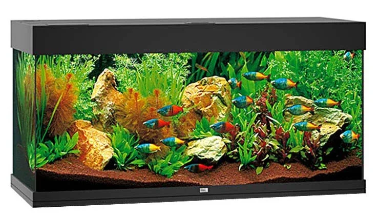 JUWEL Akvarij Rio 240 LED, 121x41x55cm, 240 L, crna