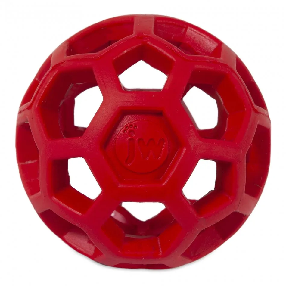 JW Hol-ee roller loptica za pse
