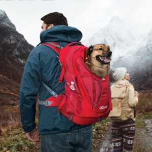 Kurgo G-Train K9 pack – ruksak za pse