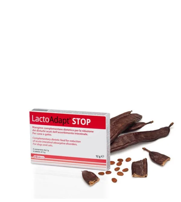 LactoAdapt STOP, 6 tableta