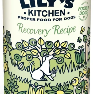 LILY'S KITCHEN Recovery Recipe, piletina s krumpirom, bez žitarica, 400g