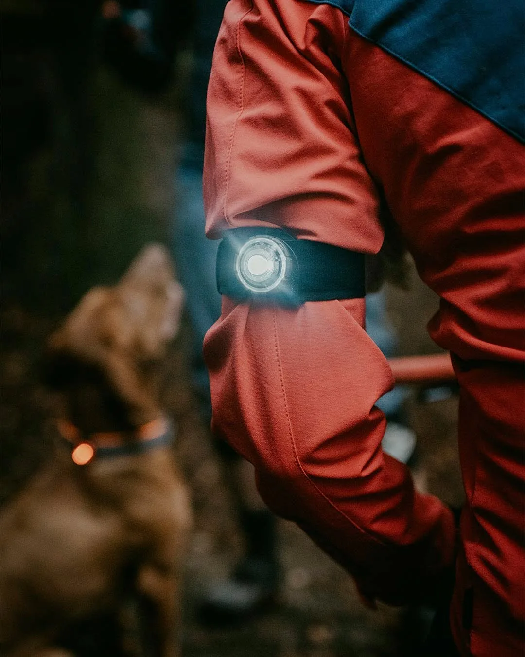 Orbiloc dual K9 active pack – svjetlo za vas i vašeg psa - Image 2