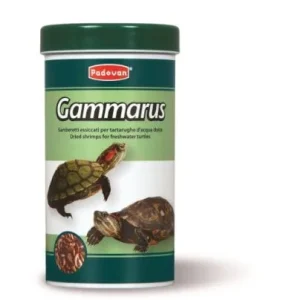 Padovan Gammarus 1L