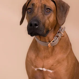PAIKKA Ogrlica Lignify Collar