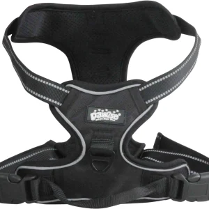 PAWISE Orma Easy-Walking Dog
