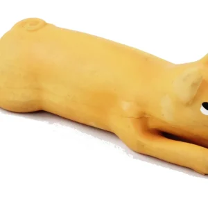 PAWISE Svinja, latex