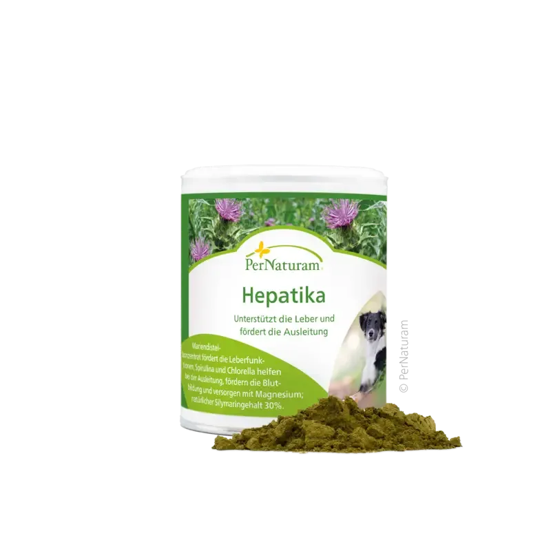 PerNaturam Hepatika, 100g