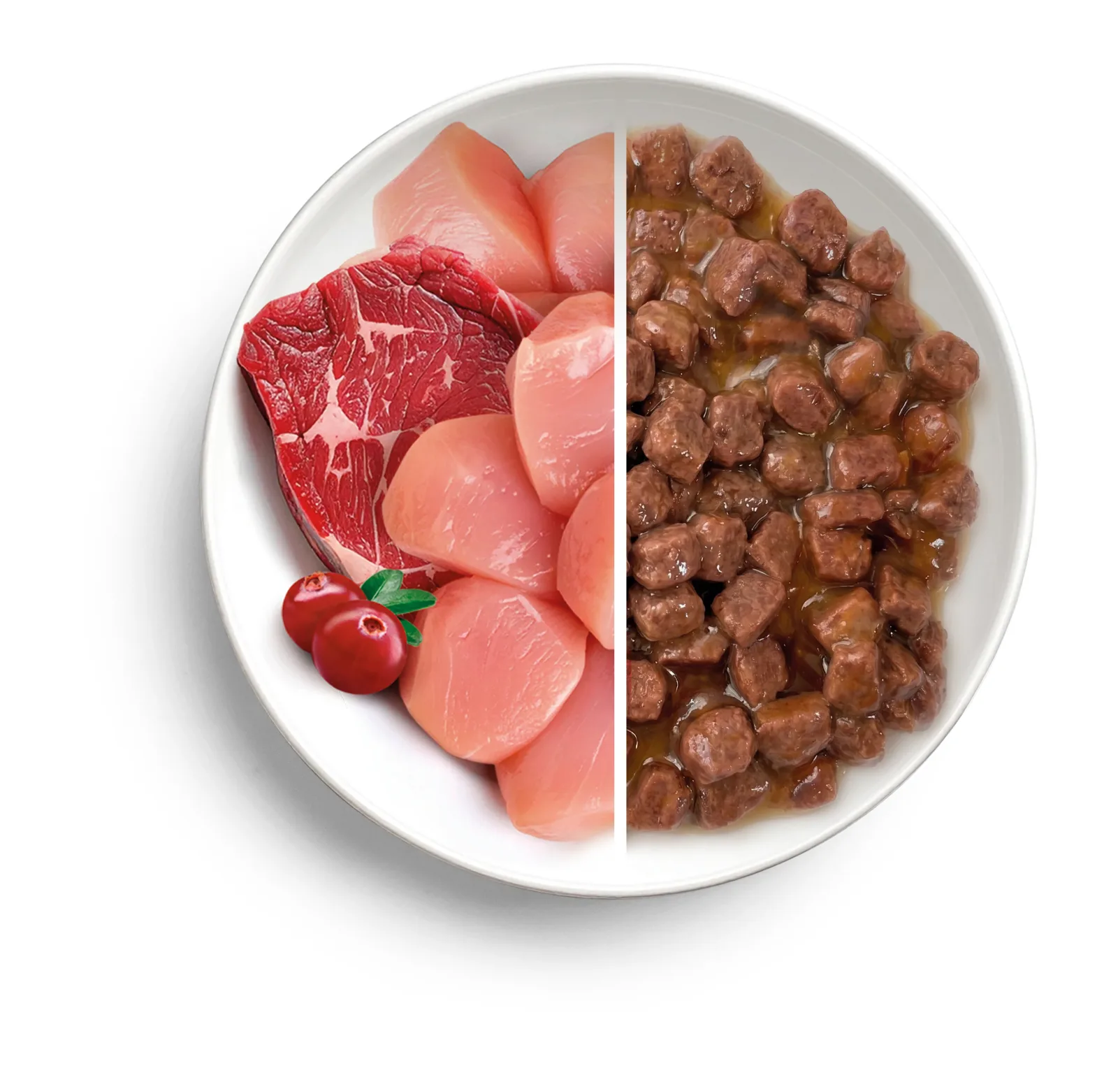 PROOF, Piletina s govedinom, u umaku od brusnice, za odrasle pse, 100g - Image 2