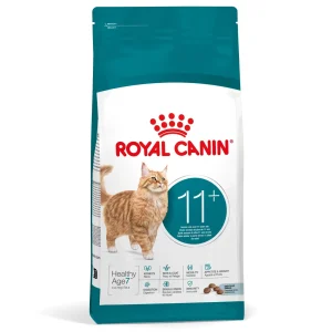 RC FHN Ageing 11+