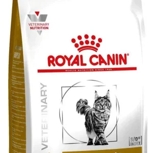 RC VHN Cat Urinary S/O, za otapanje i sprječavanje nastanka struvita