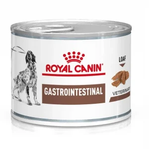 RC VHN Dog Gastro Intestinal, kod gastrointestinalnih poremećaja, 200g