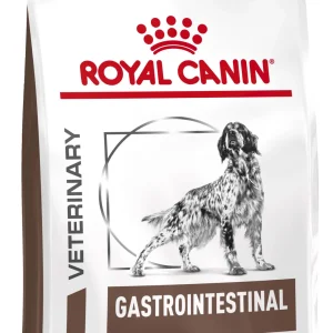 RC VHN Dog Gastro Intestinal, kod gastrointestinalnih poremećaja