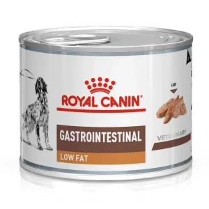 RC VHN Dog Gastro Intestinal Low Fat, kod gastrointestinalnih poremećaja, 200g