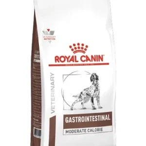 RC VHN Dog Gastro Intestinal Mod.Cal, gastrointestinalni poremećaji, 2kg