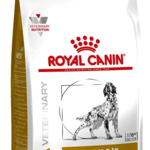 RC VHN Dog Urinary S/O, za otapanje i sprječavanje nastanka struvita